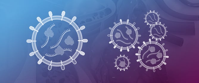 Extracellular Vesicles as Mediators of Endothelial Dysfunction in Cardiovascular Diseases