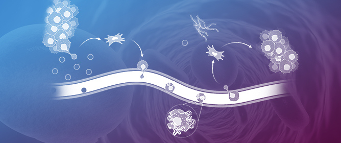 Integrins as Key Mediators of Metastasis