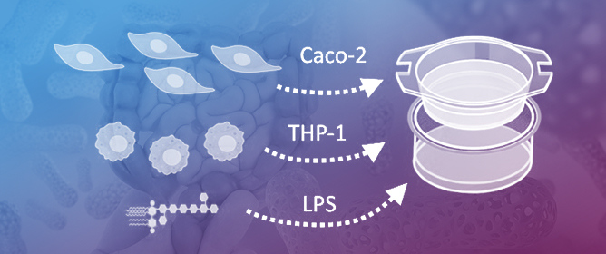 AhR-Induced Anti-Inflammatory Effects on a Caco-2/THP-1 Co-Culture Model of Intestinal Inflammation Are Mediated by PPAR&gamma;