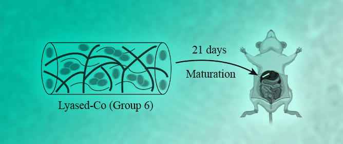 Sacrificing Alginate in Decellularized Extracellular Matrix Scaffolds for Implantable Artificial Livers