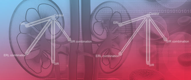 A Network Meta-Analysis on the Impact of Sirolimus vs. Everolimus on Malignancies After Kidney Transplantation