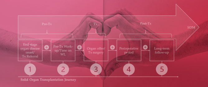 Shared Decision-Making in Solid Organ Transplantation: A Review