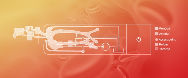 Model of the Venous System for Training Endovascular Treatment in Interventional Neuroradiology