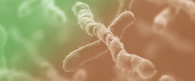 <sup></sup>Role of Circulating X-Chromosome Inactivation and <em>Xist</em> as Biomarkers in Female Carriers of Fabry Disease