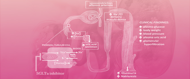 IgA Nephropathy: What Is New in Treatment Options?