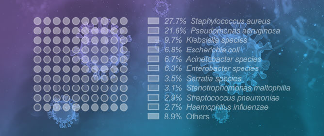 Transforming Microbiological Diagnostics in Nosocomial Lower Respiratory Tract Infections: Innovations Shaping the Future