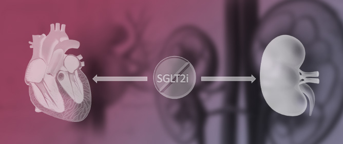 Exploring the Cardiorenal Benefits of SGLT2i: A Comprehensive Review