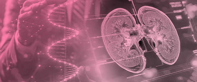 Small Interfering RNA in Kidney Diseases: Promises and Limitations
