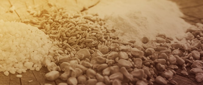 Systemic Competitiveness in the EU Cereal Value Chain: A Network Perspective for Policy Alignment