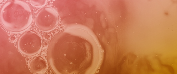 Nanostrategy for Selective Ethyl Carbamate Removal from Fermented Alcoholic Beverages via Molecular Imprinting Technology