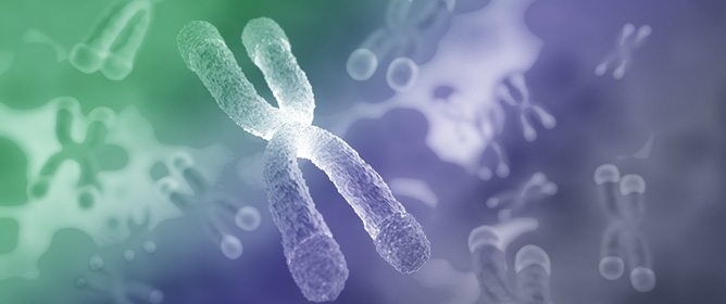 The Hallmarks of Ageing in HIV Infection and the Impact of Antiretroviral Therapy on Telomeres