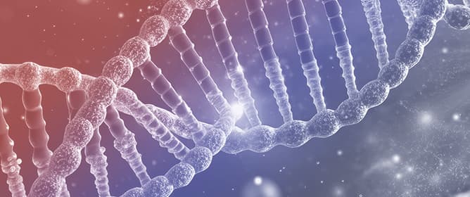 FNIP1 Deficiency: Pathophysiology and Clinical Manifestations of a Rare Syndromic Primary Immunodeficiency