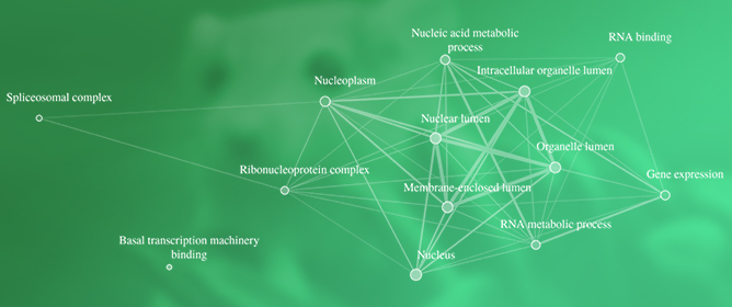Systems Biology of Recombinant 2G12 and 353/11 mAb Production in CHO-K1 Cell Lines at Phosphoproteome Level