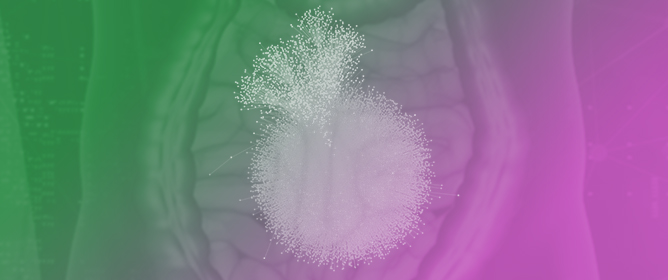 Structure-Based Deep Learning Framework for Modeling Human&ndash;Gut Bacterial Protein Interactions