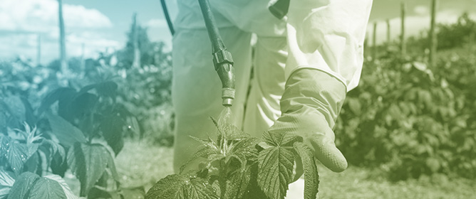 Perspectives on Pesticides and Food Citizenship in the Greek Food System