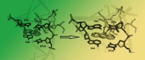 Water-Soluble Cu(II) Complexes with Polypyridyl Ligands: Anticancer Activity and DNA Interaction
