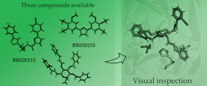 Discovery of Arylfuran and Carbohydrate Derivatives from the BraCoLi Library as Potential Zika Virus NS3<sup>pro</sup> Inhibitors