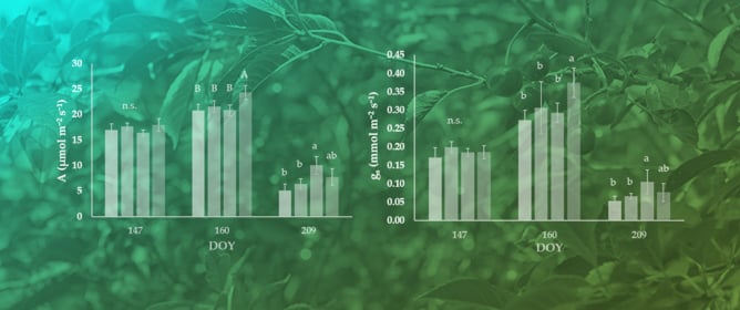 Sustainable Fertilization of Organic Sweet Cherry to Improve Physiology, Quality, Yield, and Soil Properties