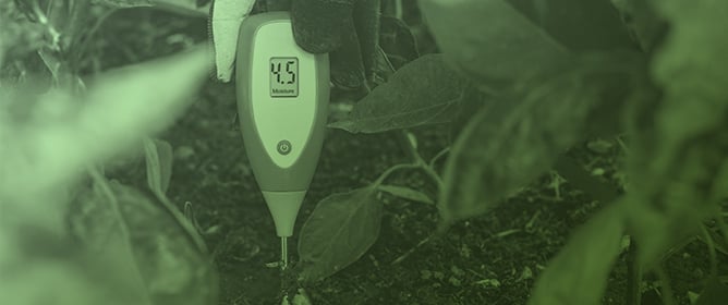 Simulating Soil Moisture Dynamics in a Diversified Cropping System Under Heterogeneous Soil Conditions