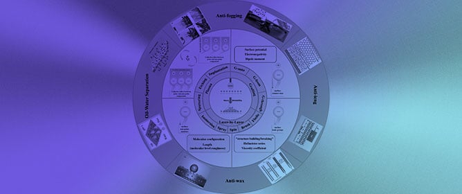 Holistic Molecular Design of Ionic Surfaces for Tailored Water Wettability and Technical Applications