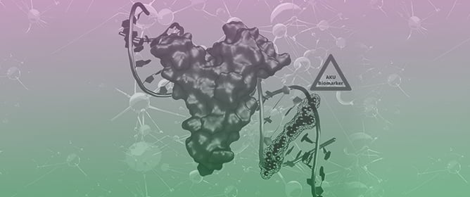 Integrated Clinomics and Molecular Dynamics Simulation Approaches Reveal the SAA1.1 Allele as a Biomarker in Alkaptonuria Disease Severity