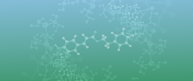 &ldquo;One Pot&rdquo; Enzymatic Synthesis of Caffeic Acid Phenethyl Ester in Deep Eutectic Solvent
