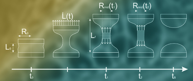 Tuning the Shape of Spray-Dried Pullulan Particles Through Feed Rheological Behavior