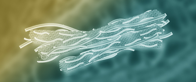 Polysaccharides: The Sustainable Foreground in Energy Storage Systems