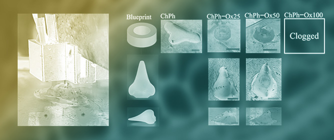 Photo- and Schiff Base-Crosslinkable Chitosan/Oxidized Glucomannan Composite Hydrogel for 3D Bioprinting