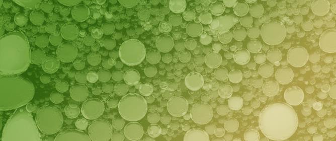 An Approach to Monodisperse Polymeric Particles as Matrices for Immobilization of Biosystems