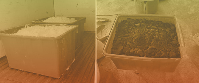 Circular Economy Approach for Utilizing Organic Waste in Cat Litter and Compost to Support Plant Growth