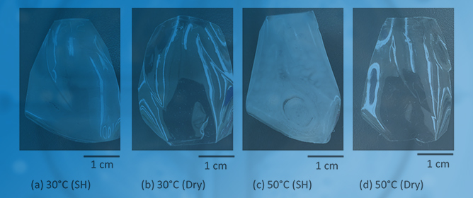 Evaluating the Environmental Factors on Microplastic Generation: An Accelerated Weathering Study