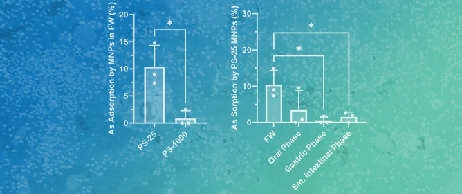 Reciprocal Effects of the Ingested Environmental Pollutants, Arsenic and Boscalid, and Polystyrene Micro-nanoplastics on Their Intestinal Absorption in an In Vitro Triculture Small Intestinal Epithelium Model