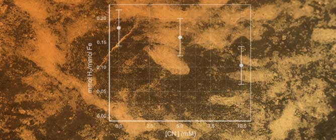 Cyanide Storage on Ferroan Brucite (Mg<sub>x</sub>Fe<sub>1&minus;x</sub>(OH)<sub>2</sub>): Implications for Prebiotic Chemistry