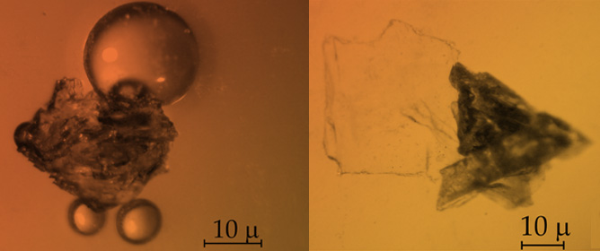 Crystal Chemistry of Eudialyte Group Minerals from Rouma Island, Los Archipelago, Guinea