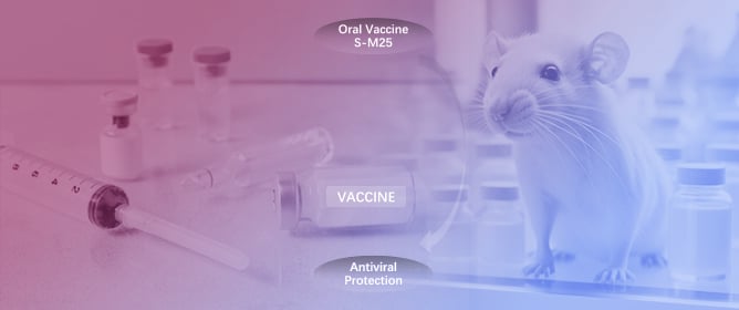 Oral Vaccination with Attenuated <em>Salmonella</em> Expressing Viral M25 Protein Effectively Protects Mice Against Murine Cytomegalovirus Infection