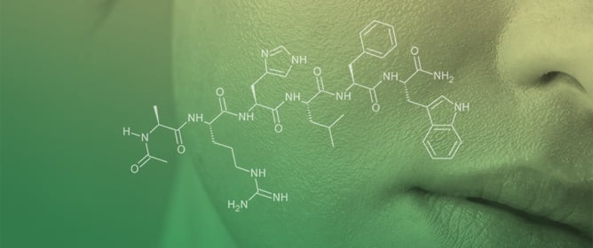 Unraveling the Molecular Mechanisms of Synthetic Acetyl Hexapeptide in E-Cadherin Activation for Tissue Rejuvenation