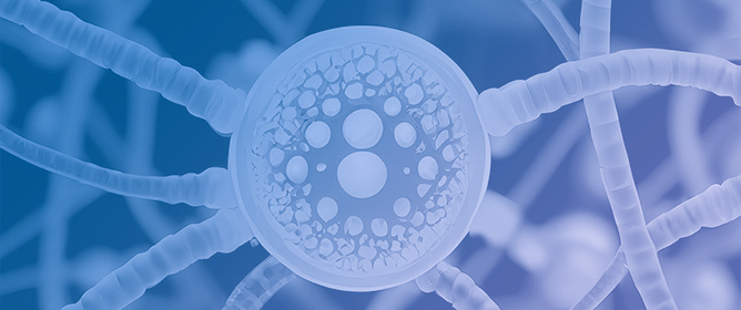 Extremophiles: Adaptations and Applications