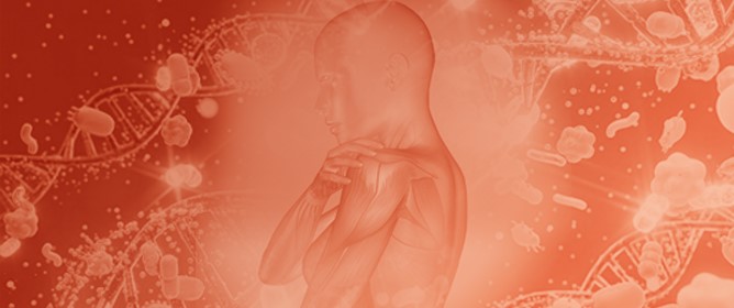 Microbial Influences on Amyotrophic Lateral Sclerosis: The Gut&ndash;Brain Axis and Therapeutic Potential of Microbiota Modulation