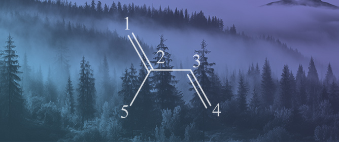Isoprene Emissions, Oxidation Chemistry and Environmental Impacts