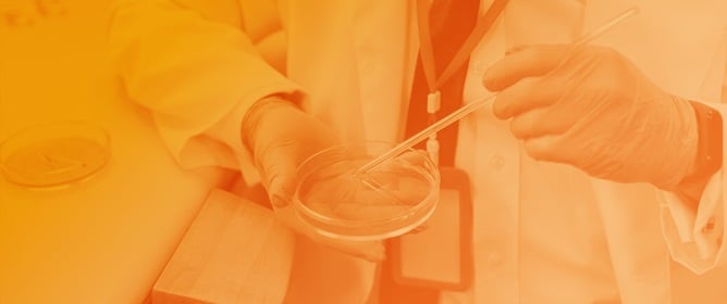 Liquid Biopsy for Colorectal Cancer: Advancing Detection and Clinical Application
