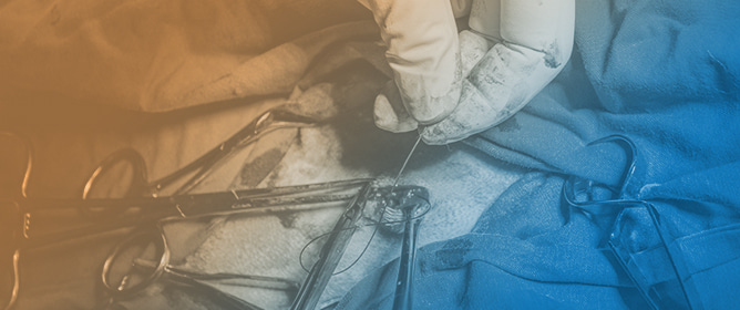 Evaluating the Effect of BMIs on Wound Complications After the Surgical Closure of Pressure Injuries