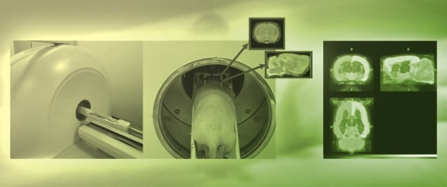 Metabolic Differences in Neuroimaging with [<sup>18</sup>F]FDG in Rats Under Isoflurane and Hypnorm&ndash;Dormicum