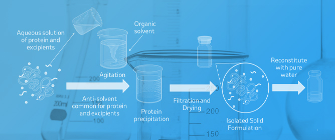 Precipitation-Based Process to Generate a Solid Formulation of a Therapeutic mAb