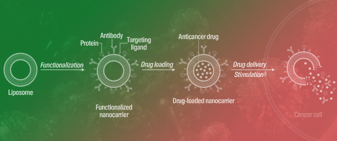 Advancements in Nanotechnology for Targeted and Controlled Drug Delivery in Hematologic Malignancies: Shaping the Future of Targeted Therapeutics