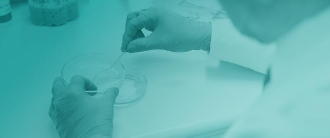 Perfusion Bioreactor Technology for Organoid and Tissue Culture