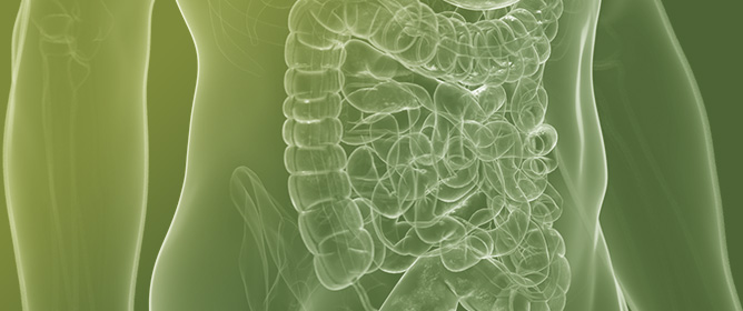 Cholesterol but Not PCSK9 Is Low in Serum of Male Patients with Active&nbsp;IBD