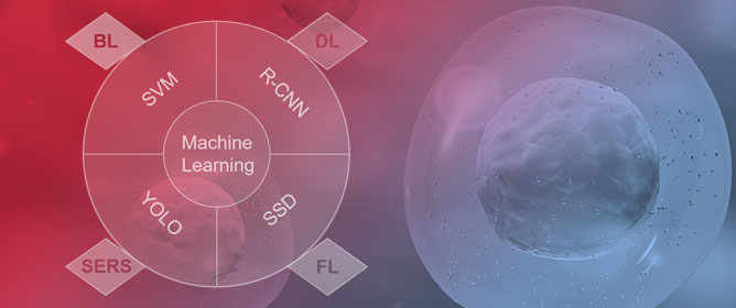Application of Machine Learning in Cell Detection