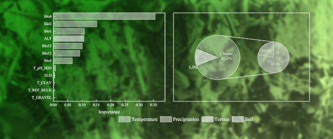 Climate Change Drives the Adaptive Distribution and Habitat Fragmentation of <em>Betula albosinensis</em> Forests in China