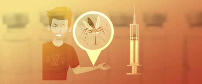 Dengue Vaccine Development and Deployment into Routine Immunization